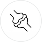 Orthopaedi